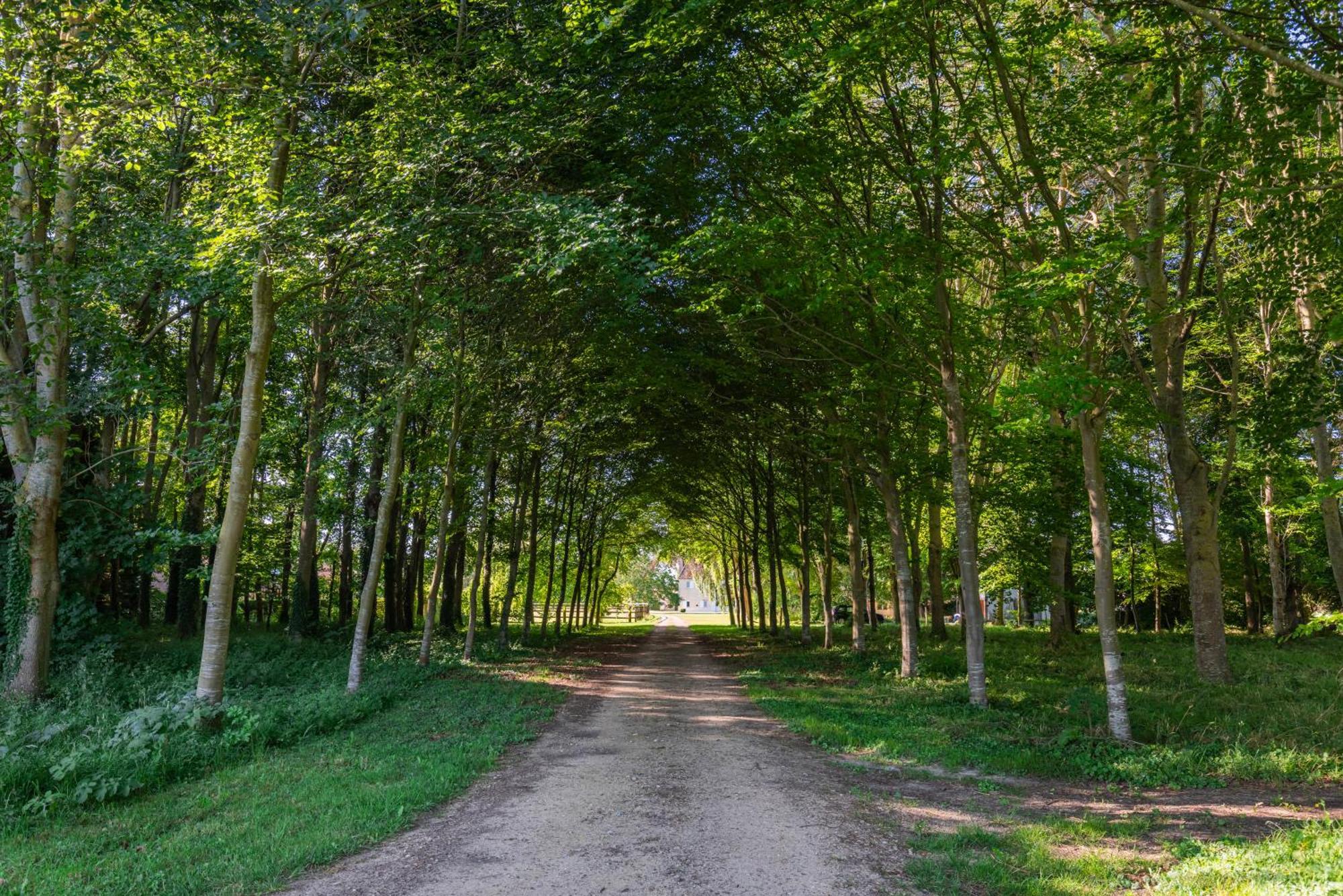 Maison "Jardin Gaillard" Bieville-en-Auge Exteriér fotografie