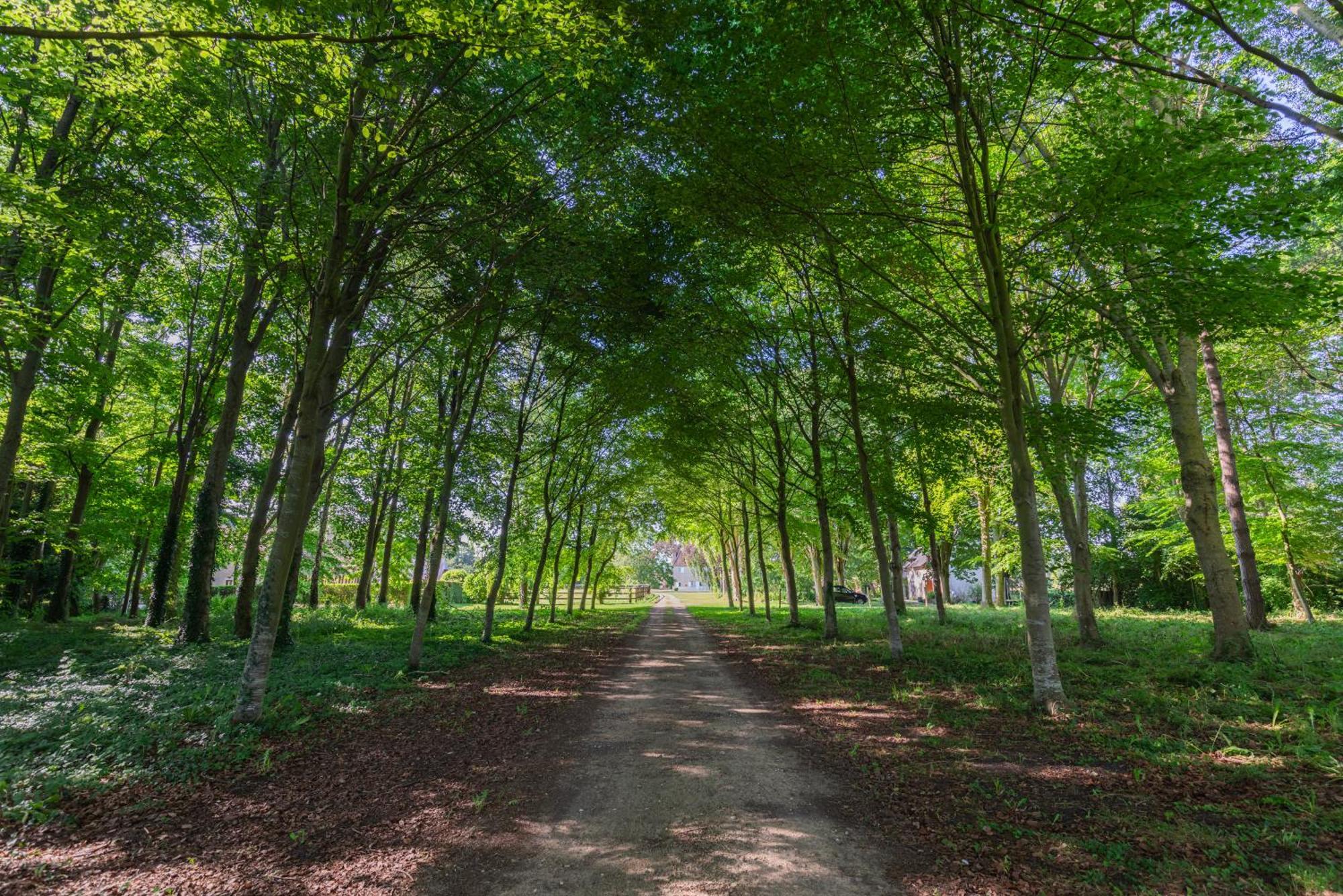 Maison "Jardin Gaillard" Bieville-en-Auge Exteriér fotografie